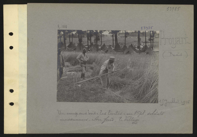 Proyart (près). Un camp sous bois : les tentes : au premier plan ; soldats moissonneurs. Au fond, le village