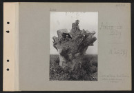 Arbre de Bitry. Observatoire d'artillerie : (arbre a été creusé à l'intérieur)