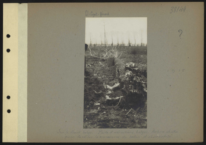 S.l. Sur le front belge. Poste d'aérostiers belges. Arbre abattu pour faciliter la manœuvre du ballon d'observation